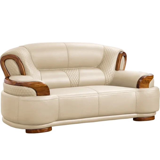 Minimalist Luxury Living Room Sofas 5